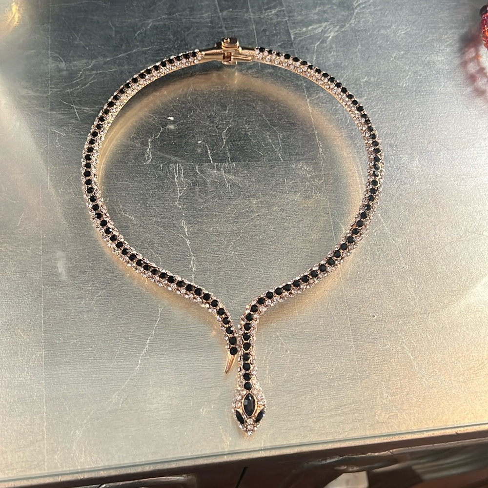 Gorgeous snake necklace that wraps around the neck.